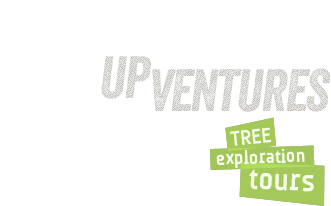upventures